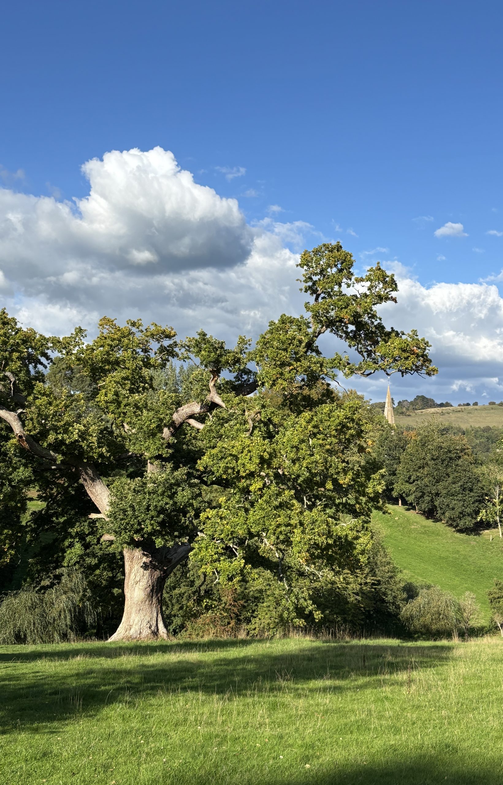 Hypnotherapist London