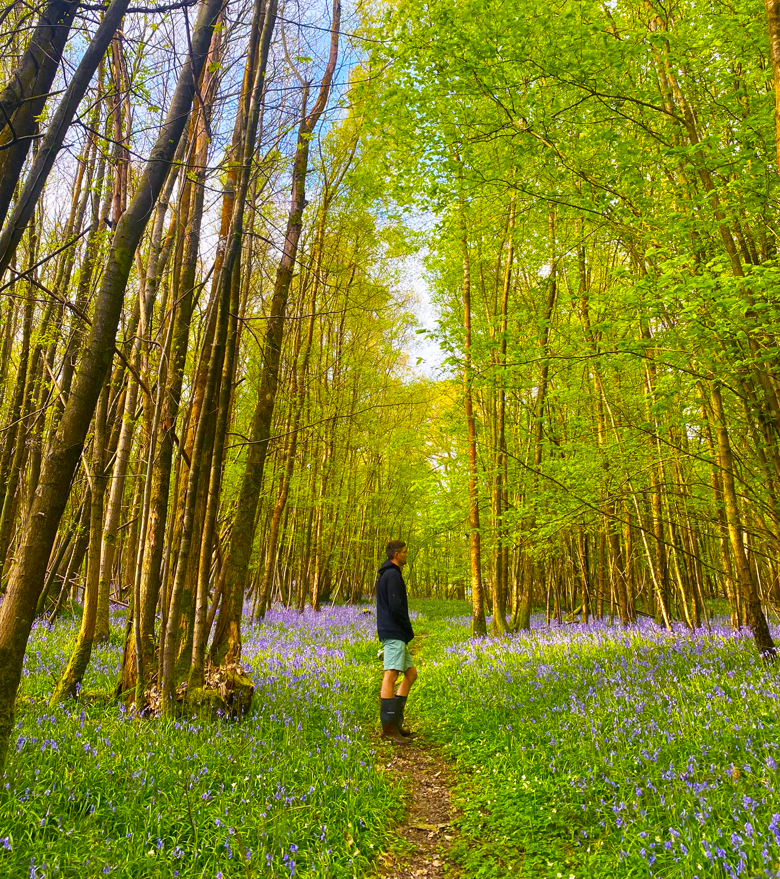 London UK Fiona Warner Registered Hypnotherapist